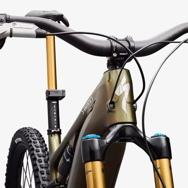 Specialized S-Works Turbo Levo G4 Carbon