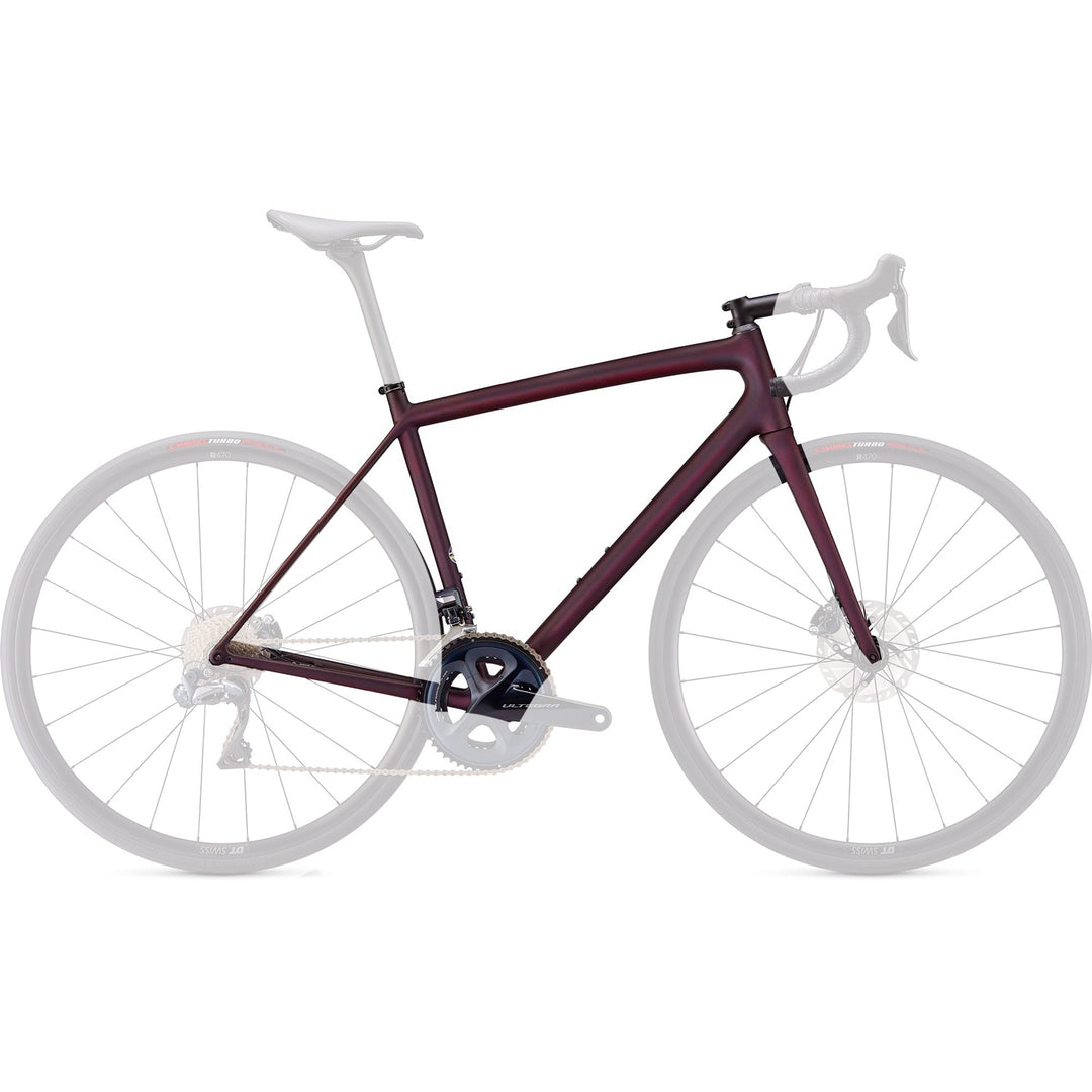 Specialized Aethos Expert Frmst