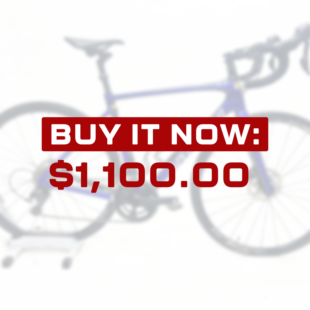 Specialized Roubaix (54) - Rental D8